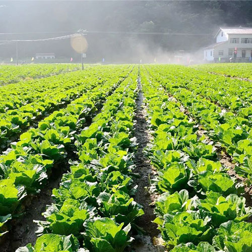 河南濮阳基地_菜津津-专注食堂食材配送服务